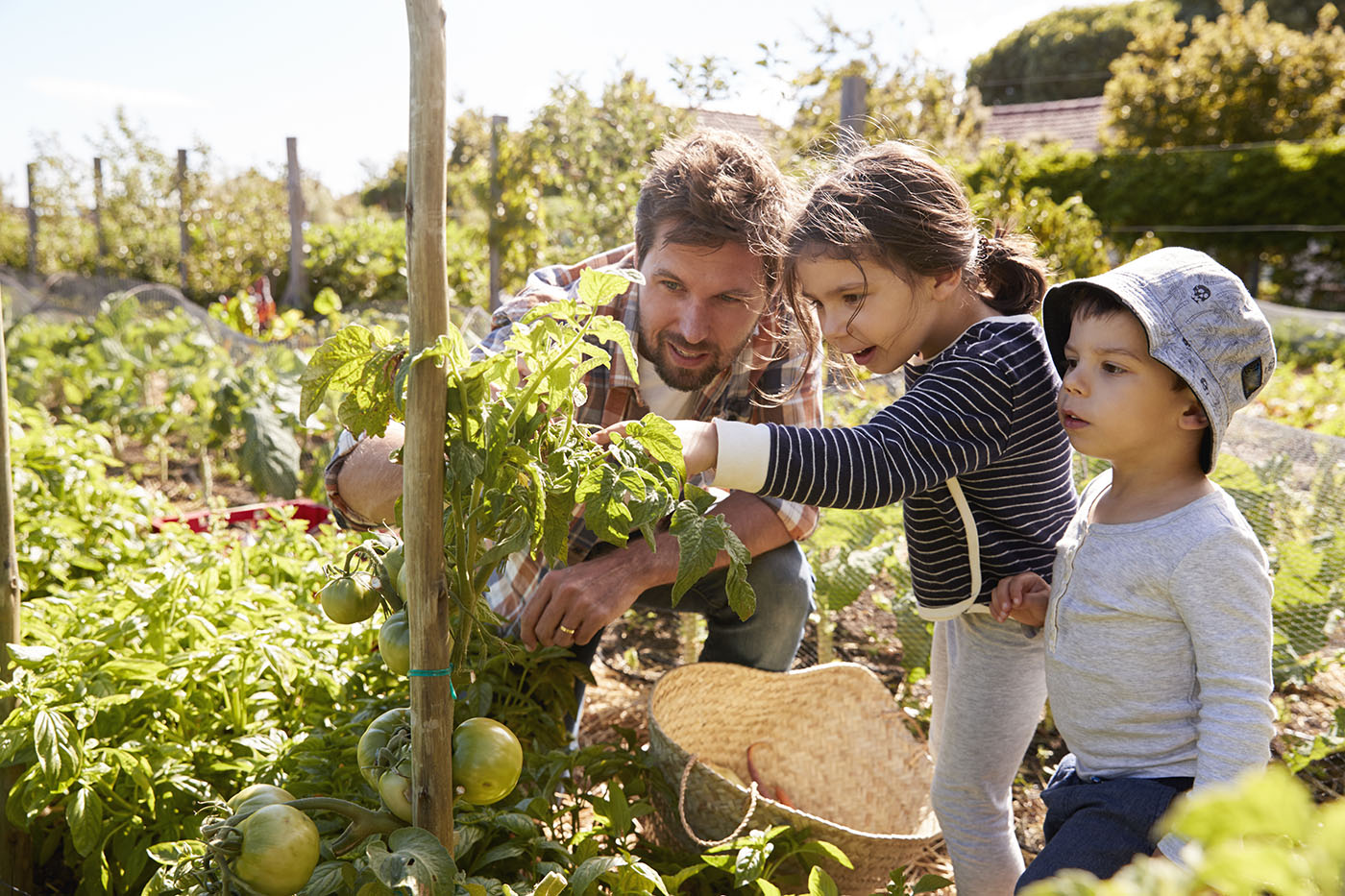 Philosophie: Natur und Familie